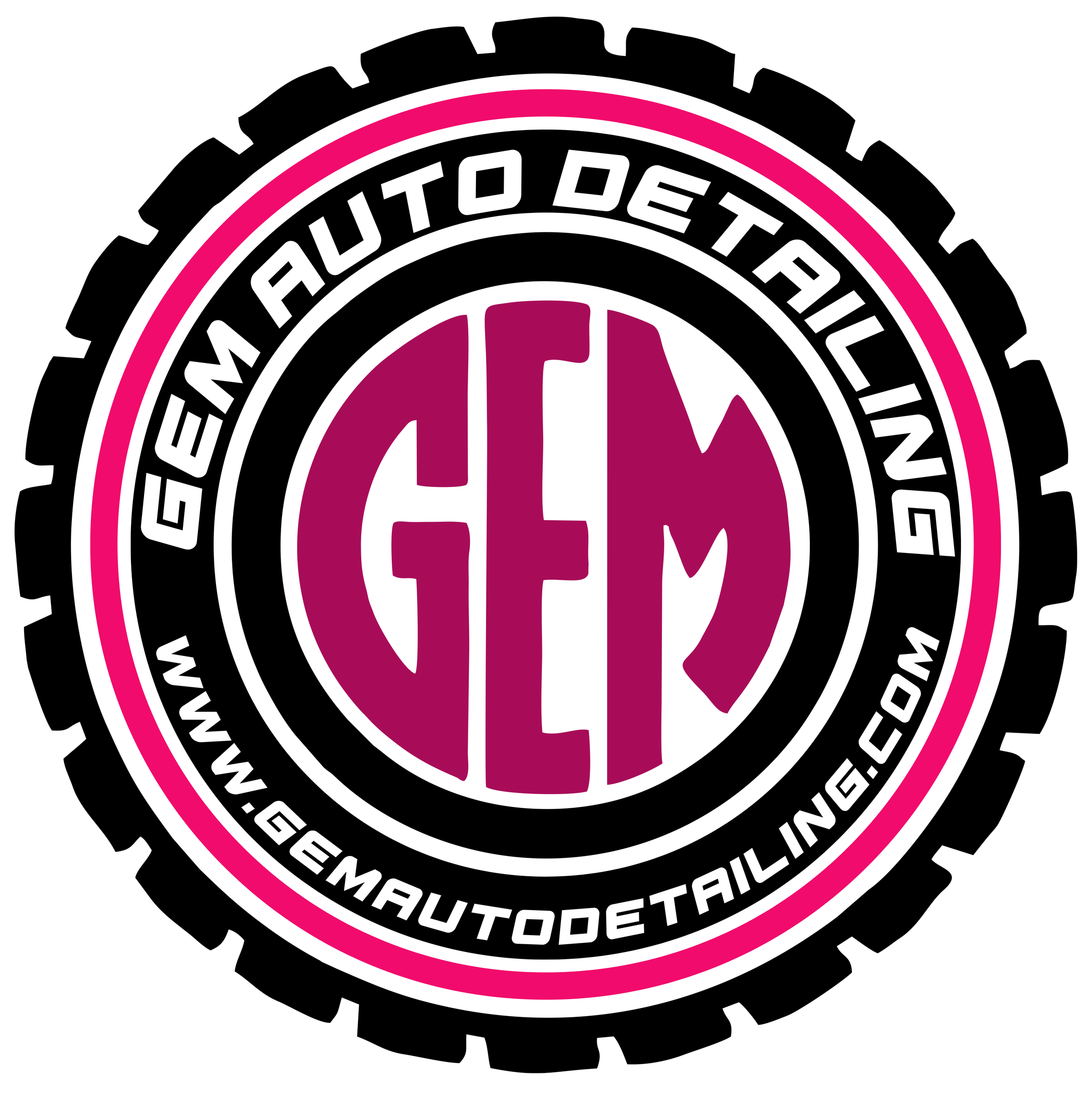 Appointments Gem Auto Detailing